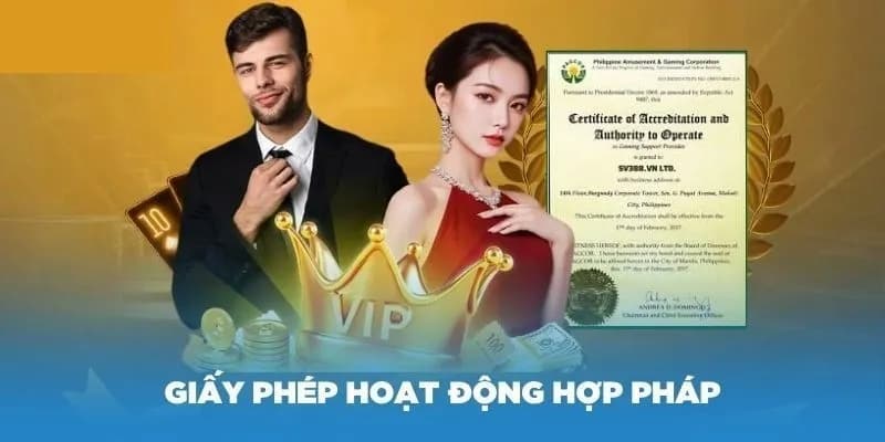 Quy trình cấp giấy phép hoạt động N88